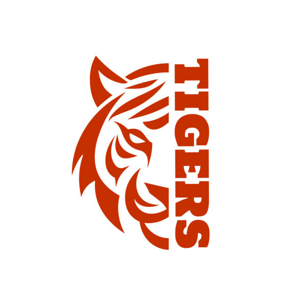 School Tigers 03 Thumbnail
