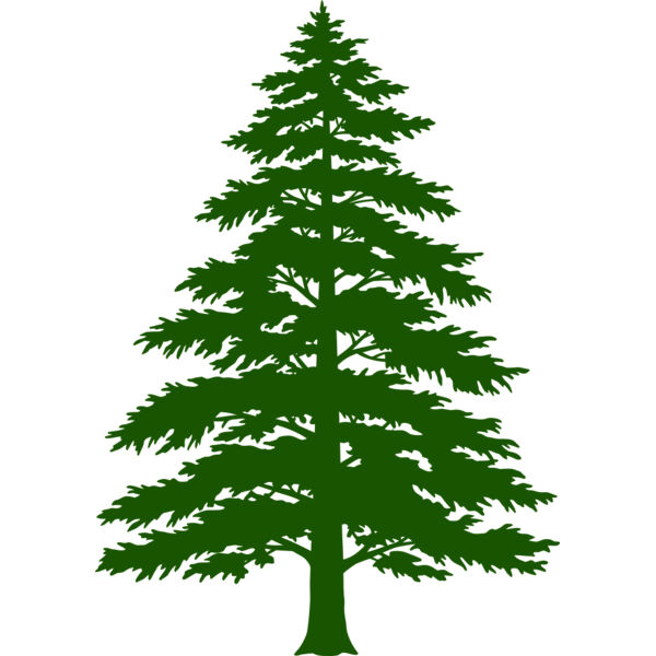 Tree Plant 3 Thumbnail