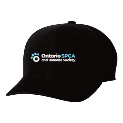 Baseball Hat Thumbnail